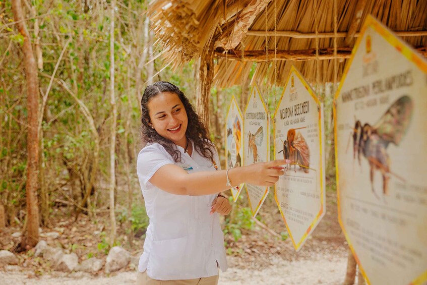 Cozumel: General Entrance to Mayan Bee Sanctuary