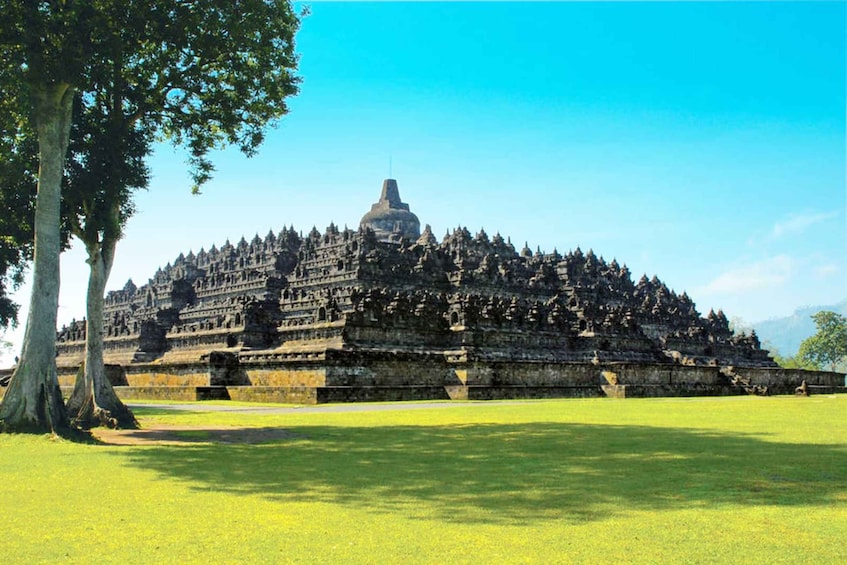 Picture 3 for Activity From Yogyakarta: Borobudur Sunrise Half Day Tour with Pickup