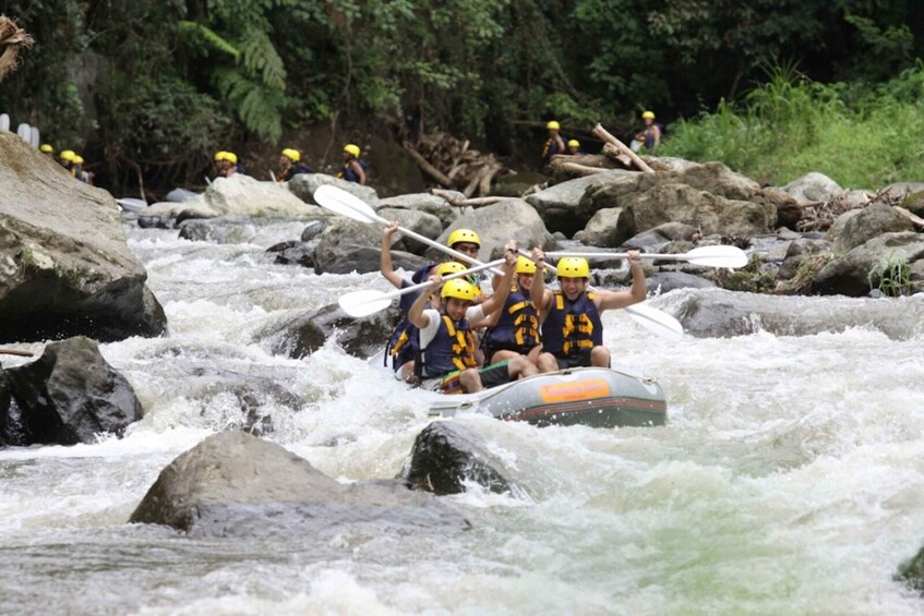 Picture 6 for Activity Bali: Jungle Trek and River Rafting with Lunch