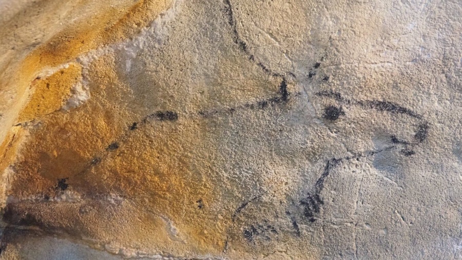 Cantabria: El Castillo Caves & Paleolithic Art