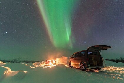 Quest to Find Northern Lights in Tromso