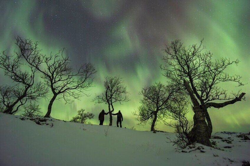 Quest to Find Northern Lights in Tromso