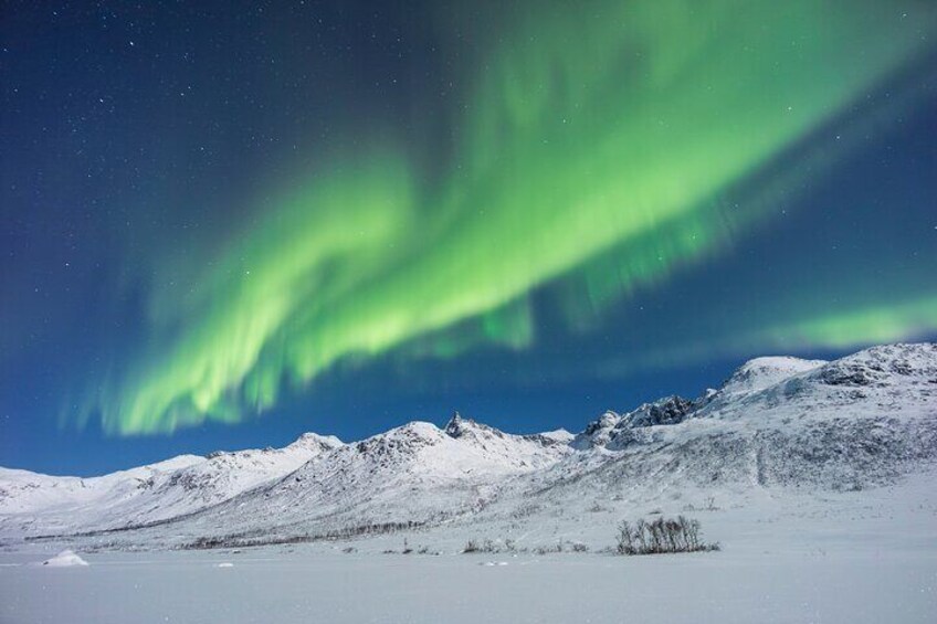 Quest to Find Northern Lights in Tromso