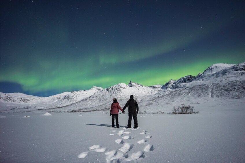 Quest to Find Northern Lights in Tromso