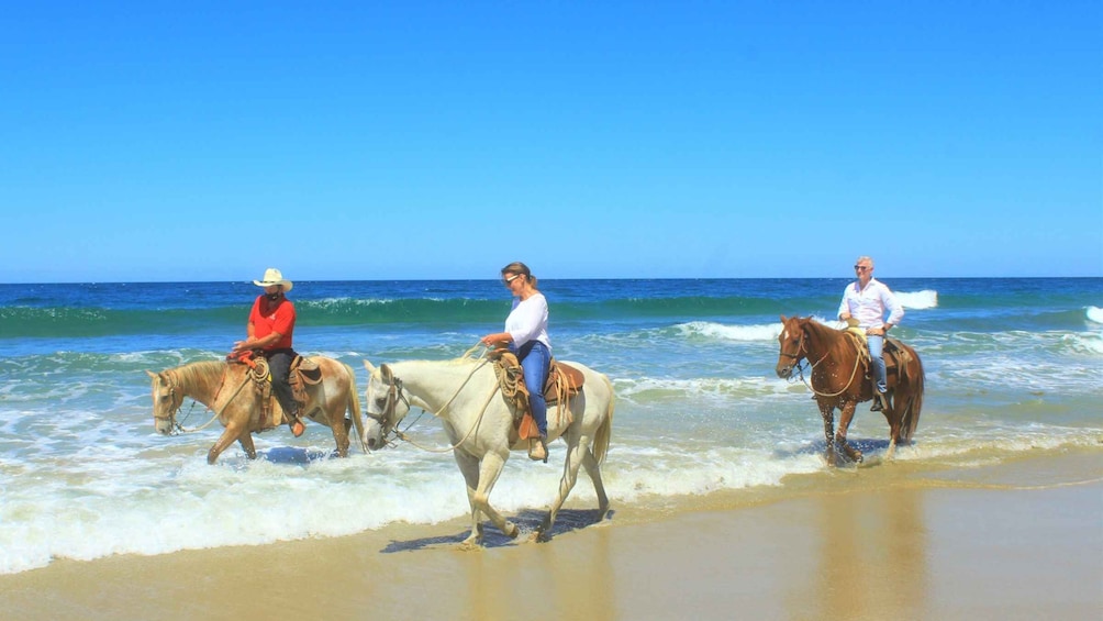 Picture 8 for Activity Punta de Mita/Sayulita: Horseback Riding Tour