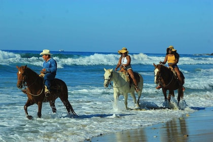 Punta de Mita/Sayulita: Ridtur till häst