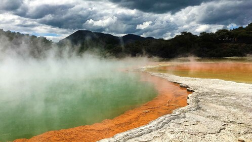 Auckland à Rotorua Small Group Tour &-Ons d’activité