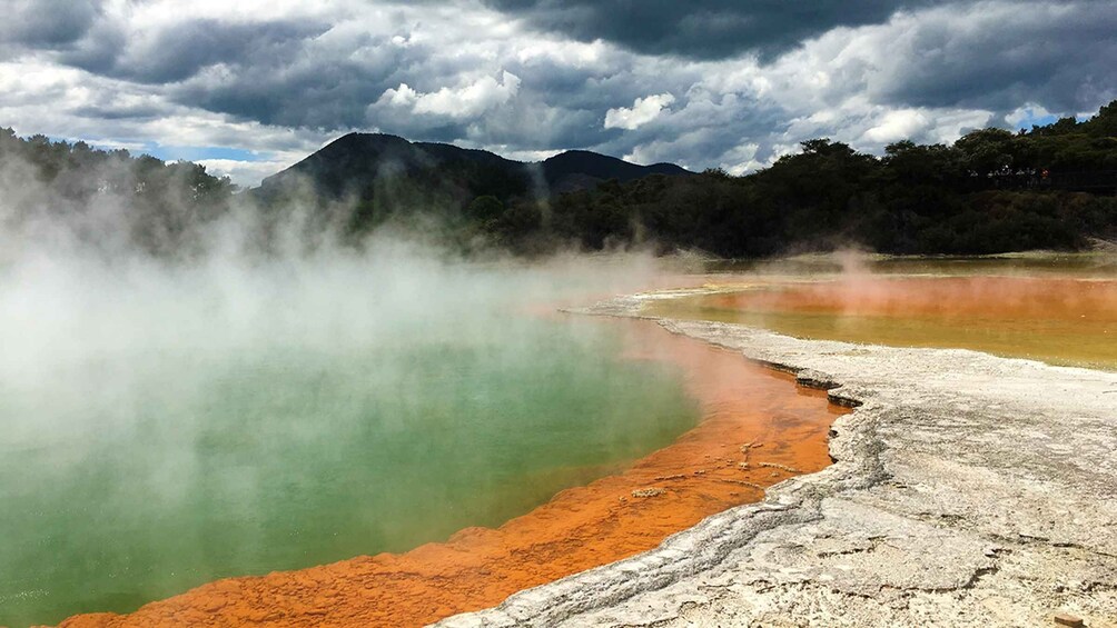 Auckland to Rotorua Small Group Tour & Activity Add-Ons