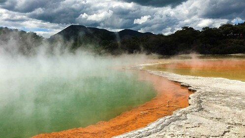 Excursión en grupo reducido de Auckland a Rotorua y Actividades Complementa...