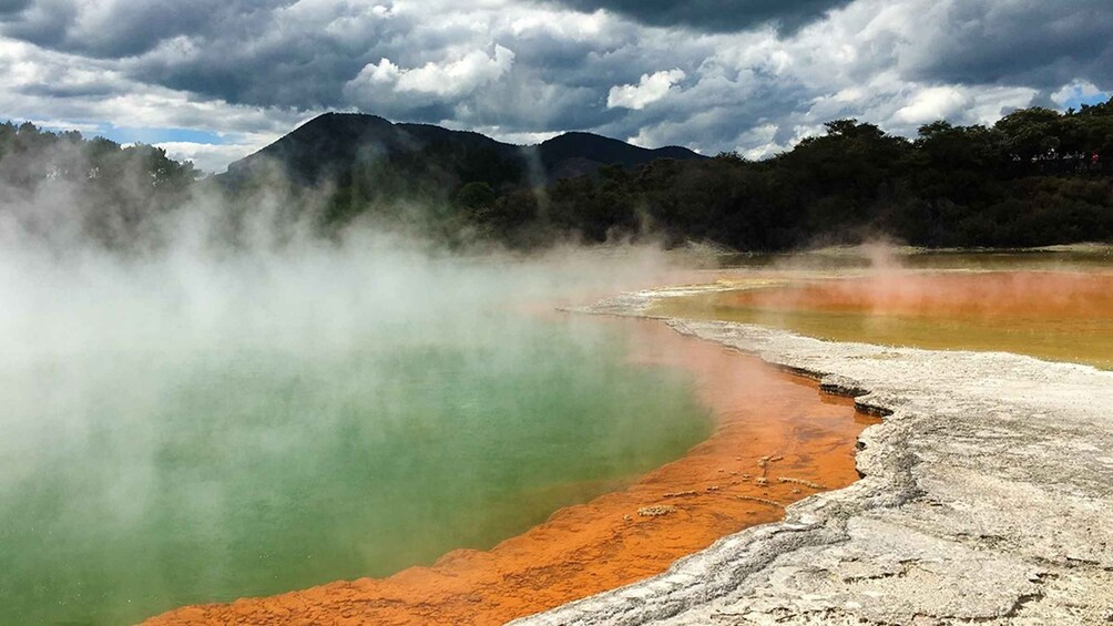 Auckland to Rotorua Small Group Tour & Activity Add-Ons