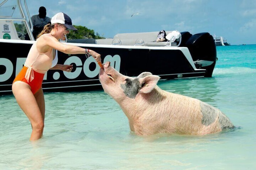 Pigs Beach and Snorkeling Adventure Group Tour Nassau