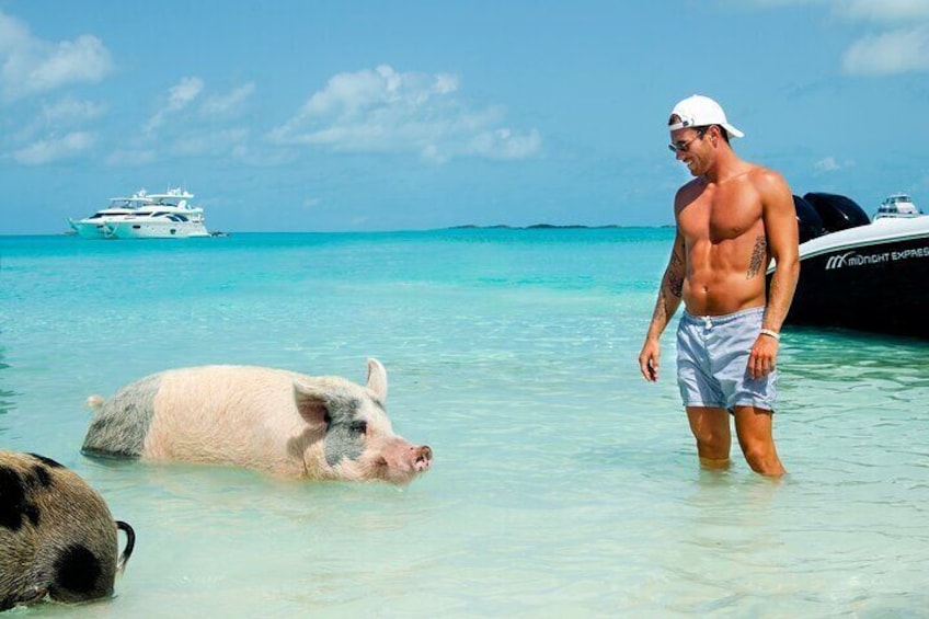 Pigs Beach and Snorkeling Adventure Group Tour Nassau