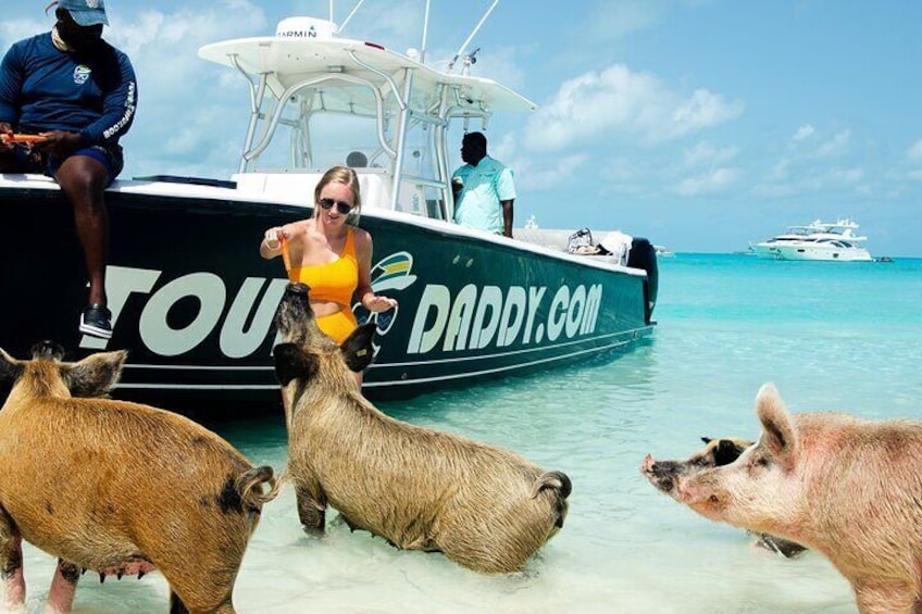 Pigs Beach and Snorkeling Adventure Group Tour Nassau
