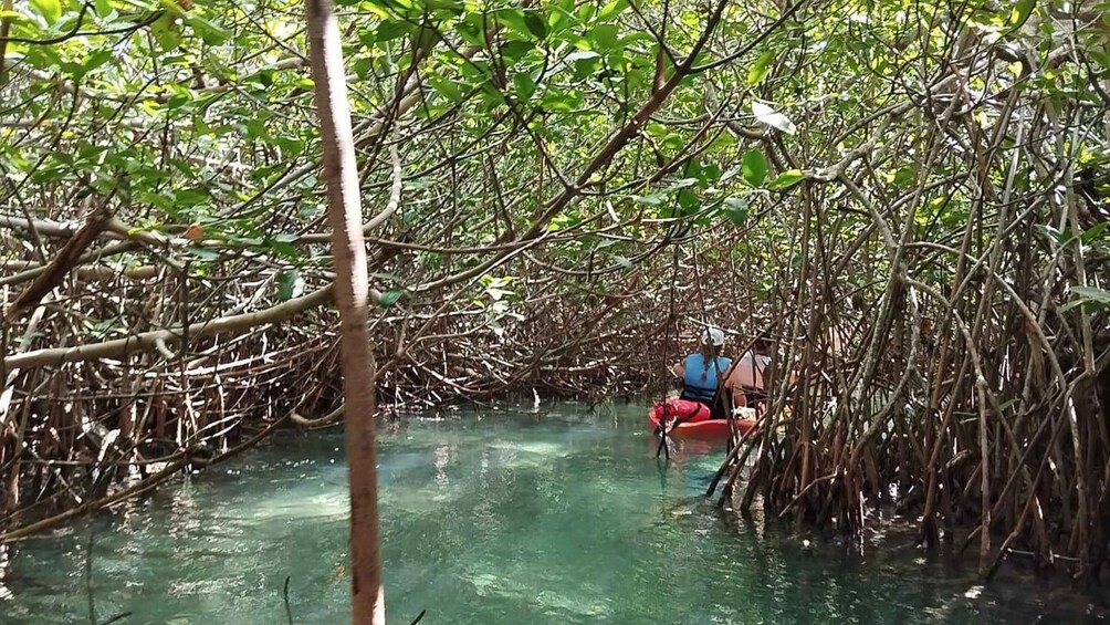 Picture 14 for Activity Cancun: 3-Hour Kayak Tour in Nichupte Lagoon