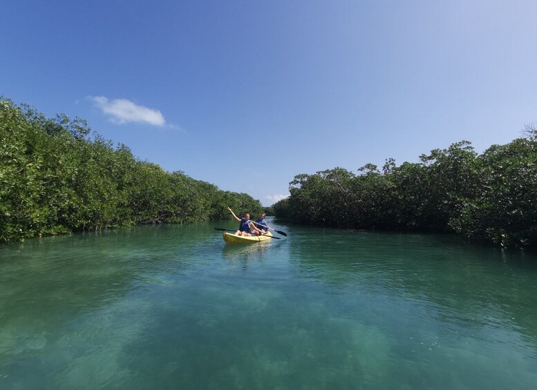 Cancun 3Hour Kayak Tour in Nichupte Lagoon