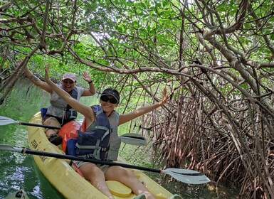 Cancun: Kayaking Tour in Nichupte Lagoon