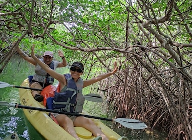 Cancun : 3 heures de kayak dans la lagune de Nichupte