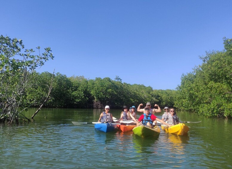 Picture 12 for Activity Cancun: 3-Hour Kayak Tour in Nichupte Lagoon