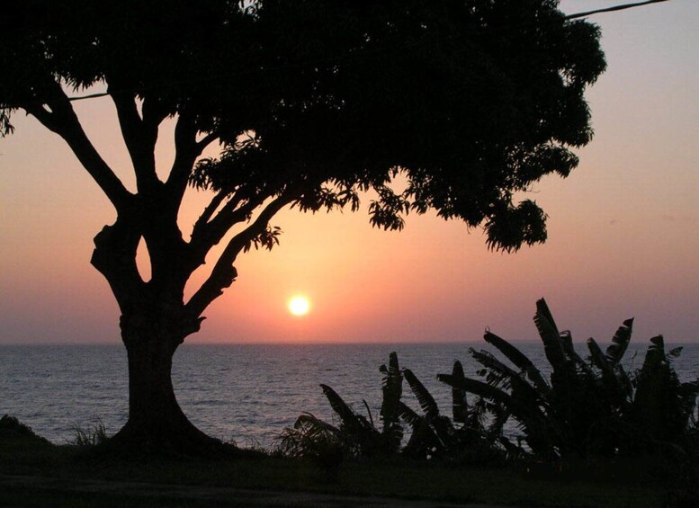 Picture 4 for Activity Belém: Ilha do Mosqueiro River Beach Trip