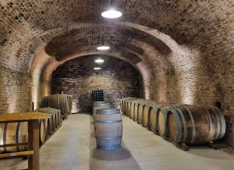 Picture 19 for Activity Vienna: Full-Day Vienna Woods Wine Tasting Tour