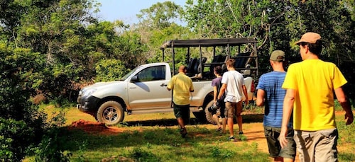 Tangalle/Hiriketiya : Safari à Udawalawa et transit d'éléphants Hom