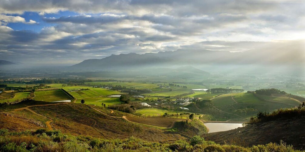 Picture 6 for Activity Cape Town: Cape Peninsula and Winelands Full Day Combo Tour