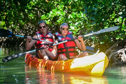 Mauritius: Amber Island Kayak Expedition