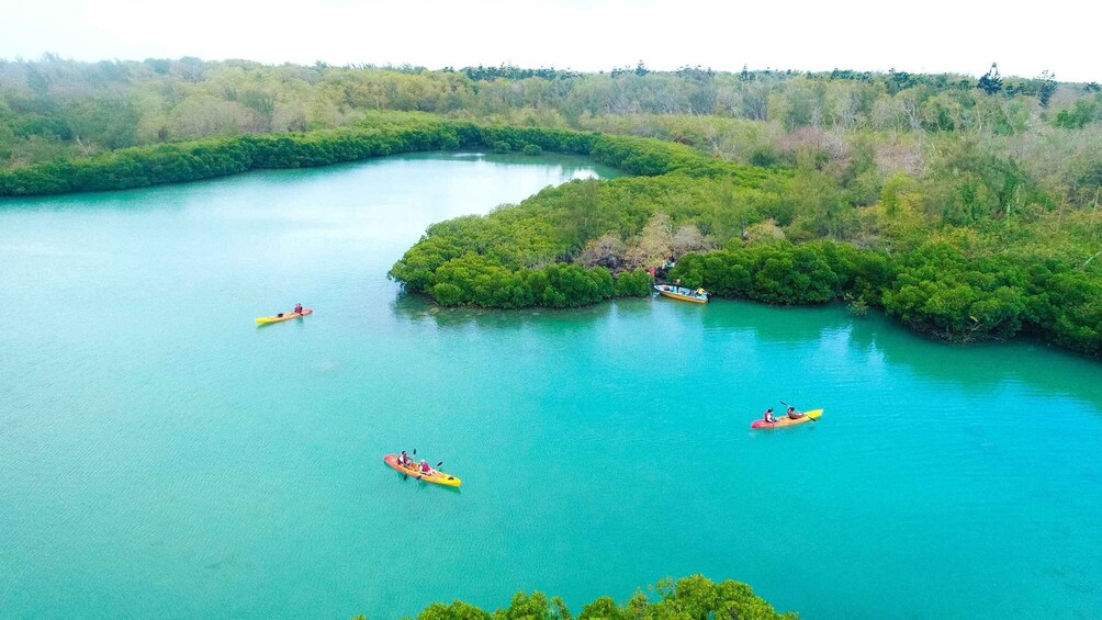 Picture 1 for Activity Mauritius: Amber Island Kayak Expedition