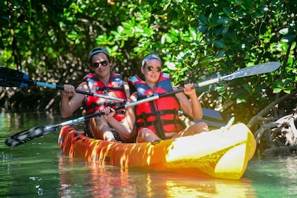 Mauritius: Amber Island Kayak Expedition