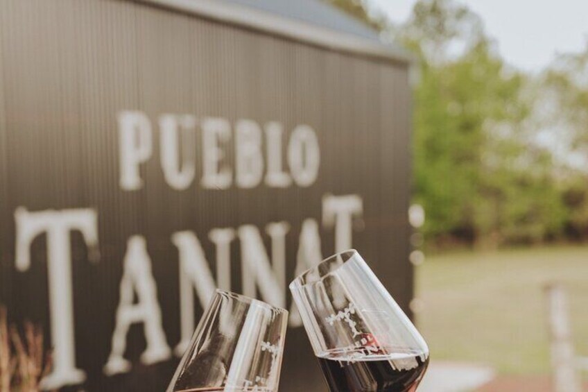 Private one-day visit to 2 Wineries in Carmelo