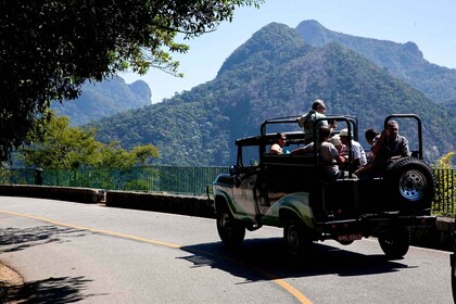 Rio: Tur Jip Setengah Hari di Floresta da Tijuca