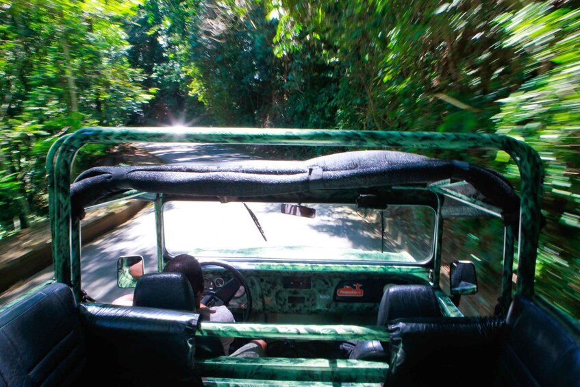 Picture 10 for Activity Rio: Half-Day Jeep Tour at Floresta da Tijuca