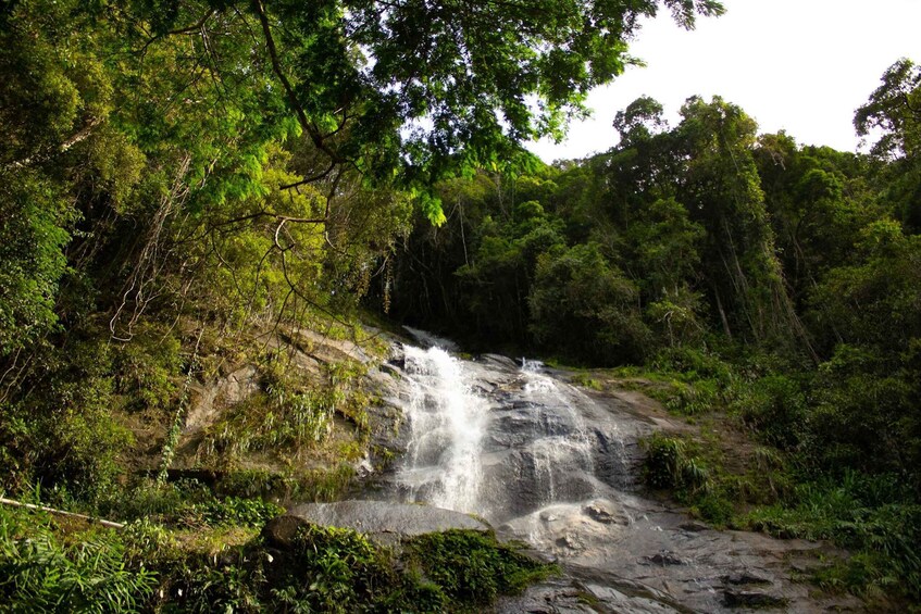 Picture 6 for Activity Rio: Half-Day Jeep Tour at Floresta da Tijuca