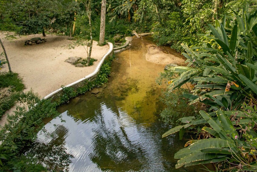 Picture 7 for Activity Rio: Half-Day Jeep Tour at Floresta da Tijuca