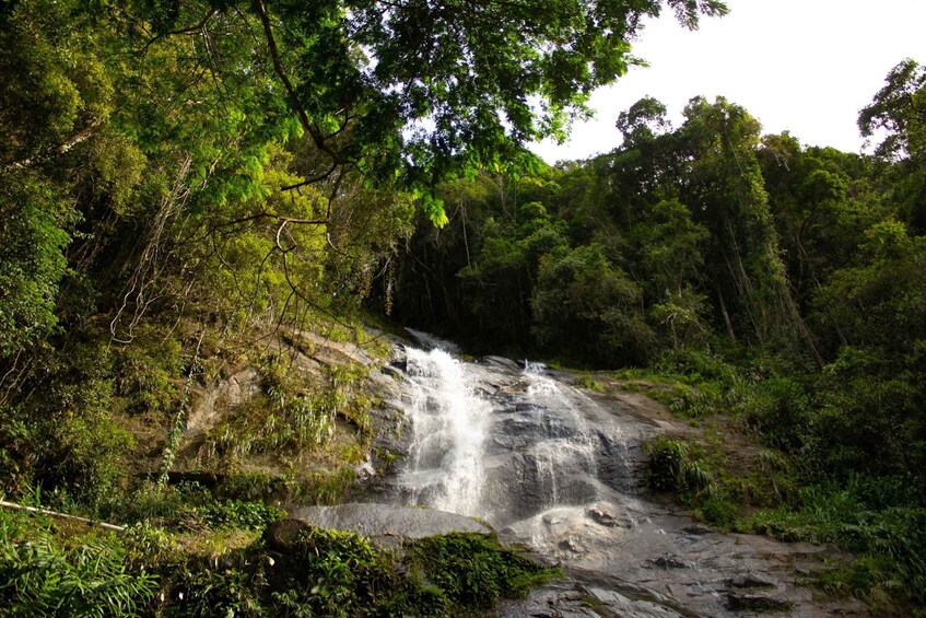 Picture 6 for Activity Rio: Half-Day Jeep Tour at Floresta da Tijuca