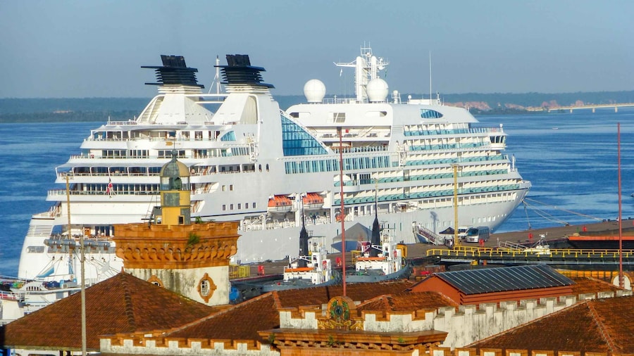 From Manaus Cruise Terminal: Amazon Rainforest Highlights