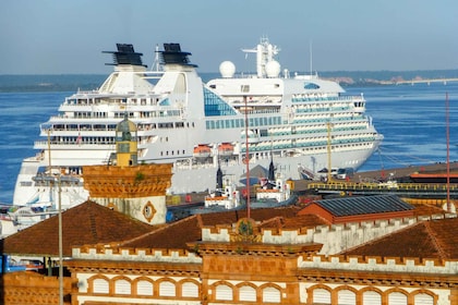 From Manaus Cruise Terminal: Amazon Rainforest Highlights