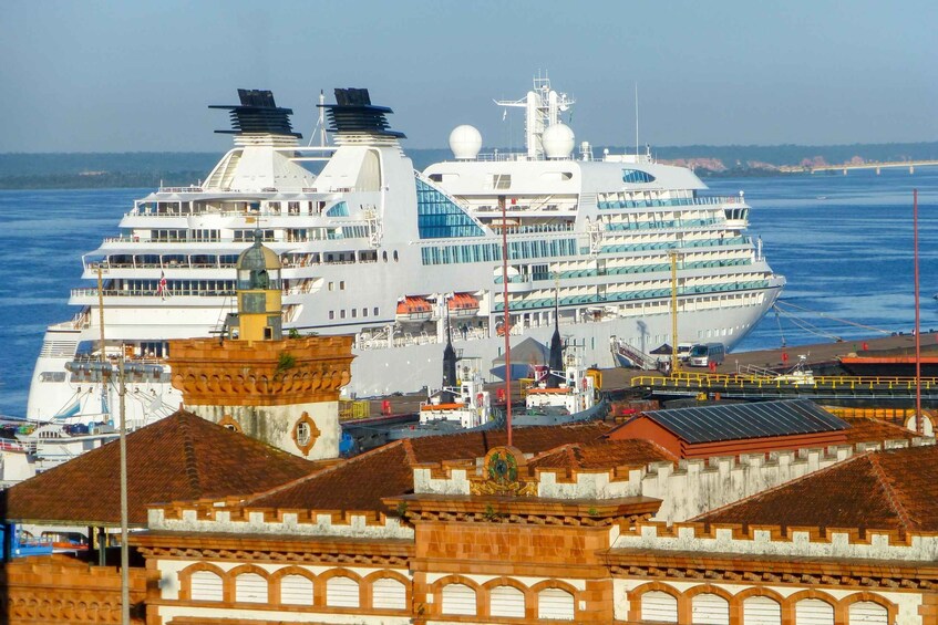 From Manaus Cruise Terminal: Amazon Rainforest Highlights