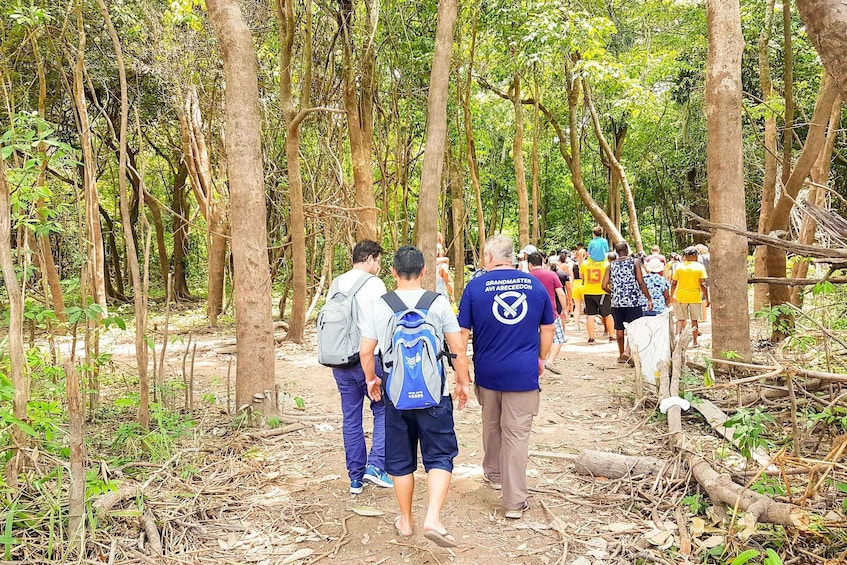 Picture 11 for Activity From Manaus Cruise Terminal: Amazon Rainforest Highlights