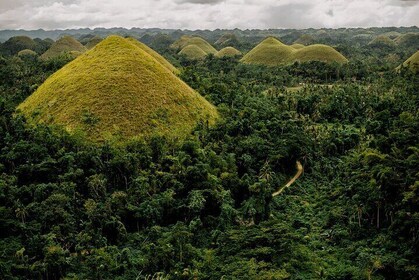 Bohol Chocolate Hills & Tarsier Tour with Lunch at Loboc River