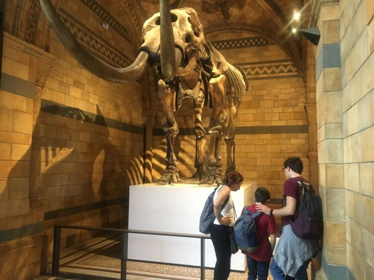 London: Natural History Museum Entry Ticket and Guided Tour