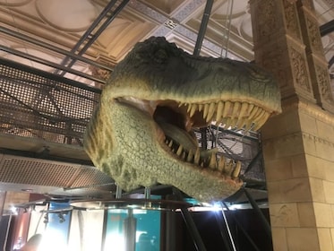London: Natural History Museum Inträdesbiljett och guidad tur