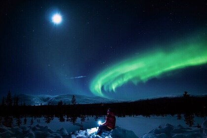 Northern Lights Hunting Tour from Rovaniemi with Guaranteed Views