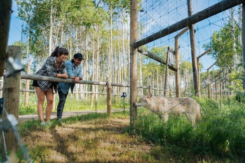 Sanctuary Walk Ticket in Canada