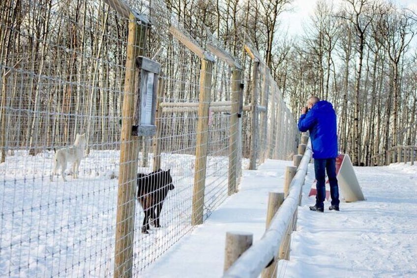 Sanctuary Walk Ticket in Canada