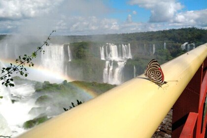 Brazilian Side of the Cataratas and Parque Das Aves with tickets