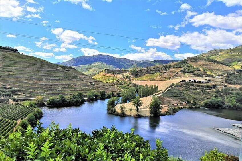 Private Tour in Porto Douro Valley Wine Tasting and Lunch