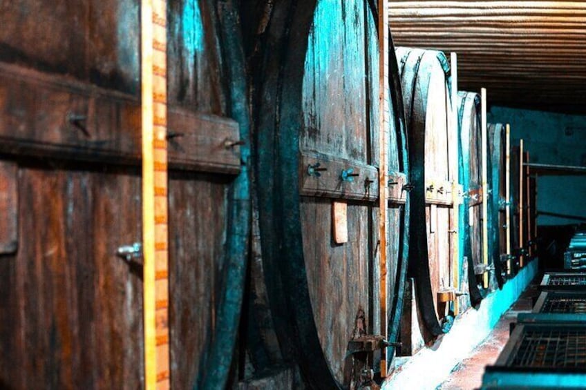 Private Tour in Porto Douro Valley Wine Tasting and Lunch