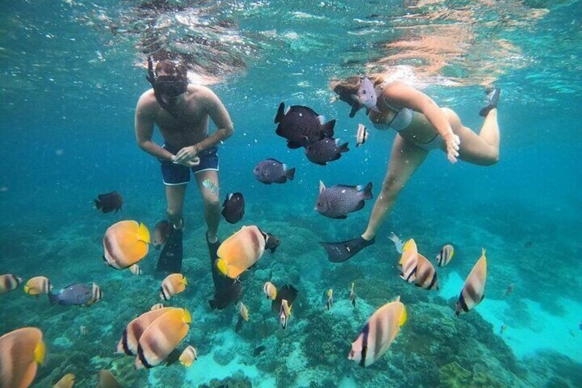 Bali Snorkeling At Bluelagoon Beach With Lunch Private Transport