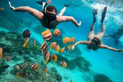 Bali Snorkelling At Bluelagoon Beach With Lunch Private Transport